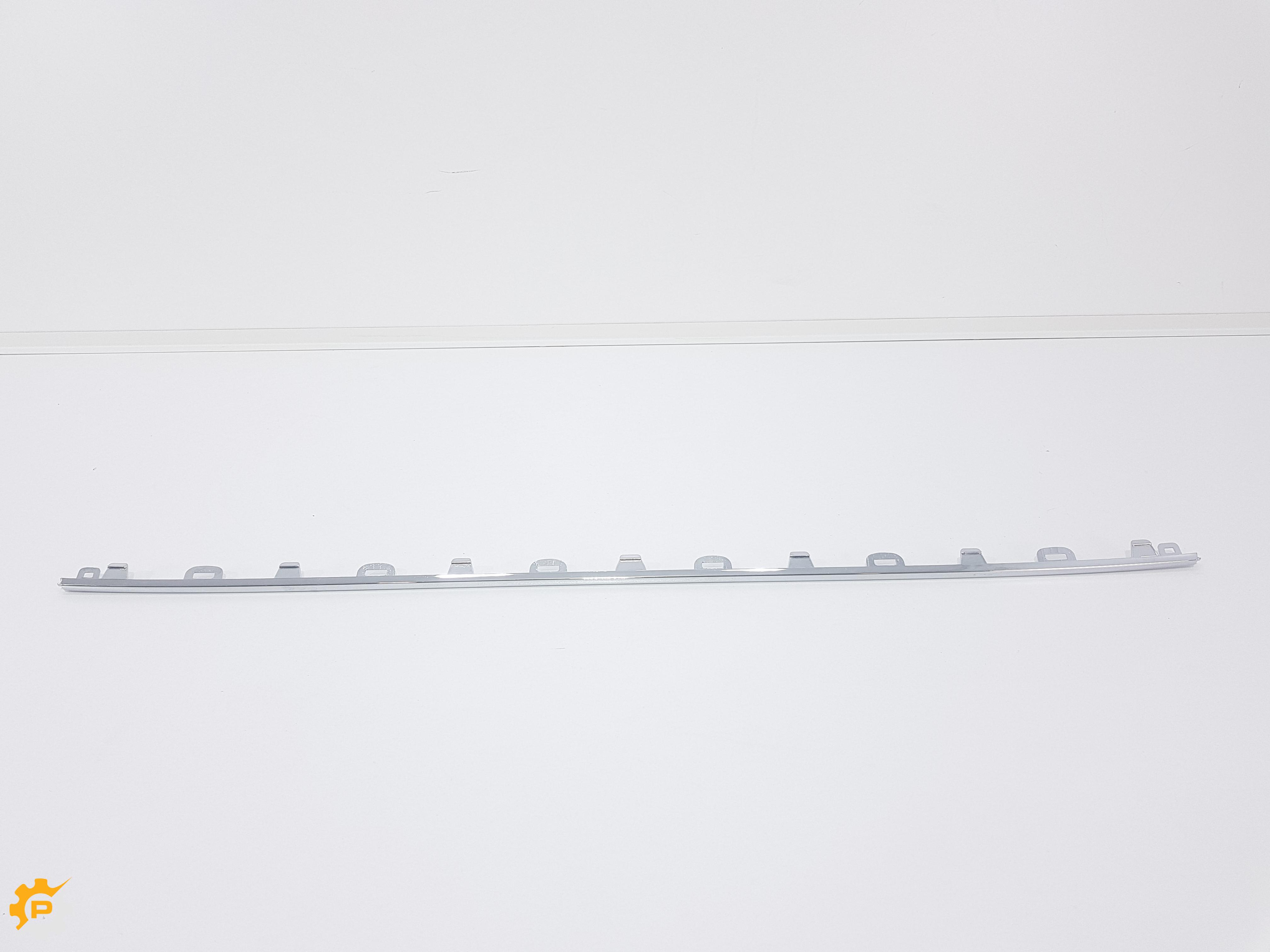 FR Bumper, Molding