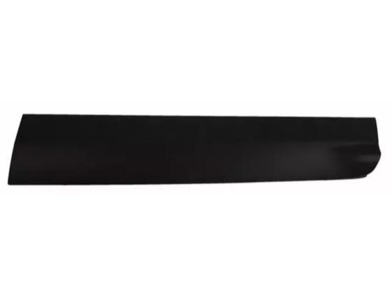 FR RH Door, Molding