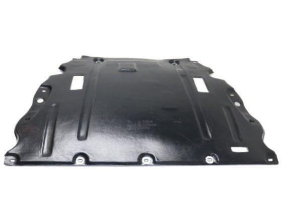 Нижний Защитнык, Двигатель