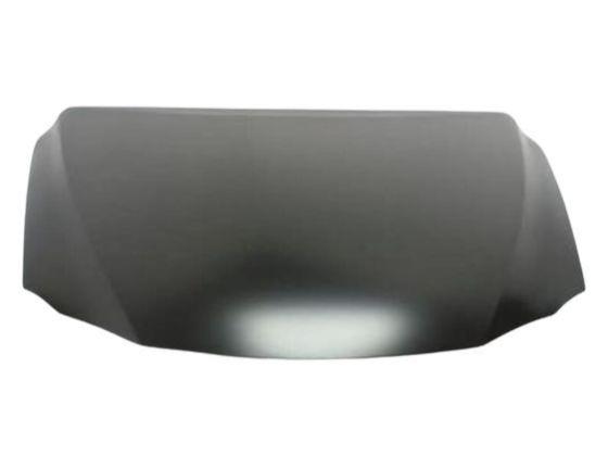 კაპოტი, კაპოტი