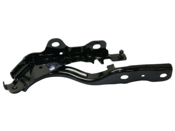 Hood, Bonnet, Hinge RH