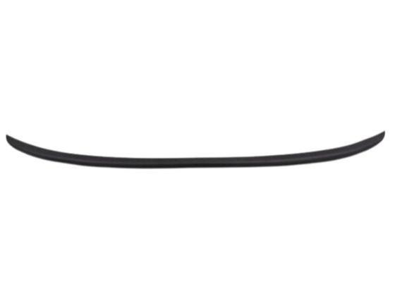 FR Bumper, Lip