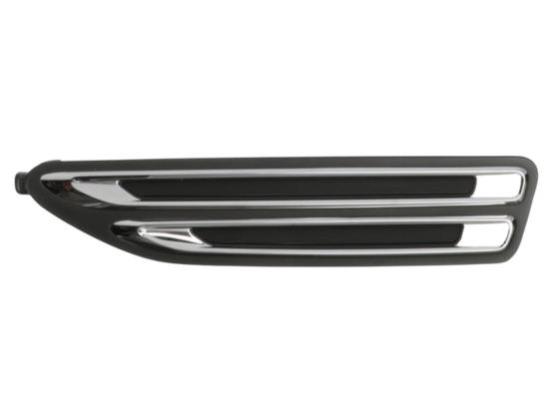 Fender Molding, FR LH