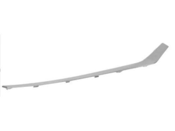 FR Bumper, Molding