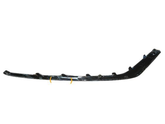 FR Bumper, Molding