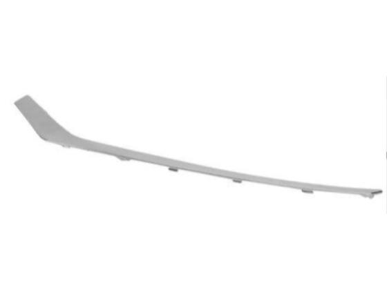 FR Bumper, Molding