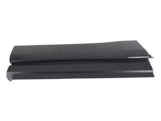 RR LH Door, Molding