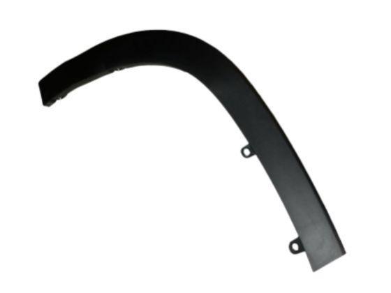 Fender Molding, RR RH