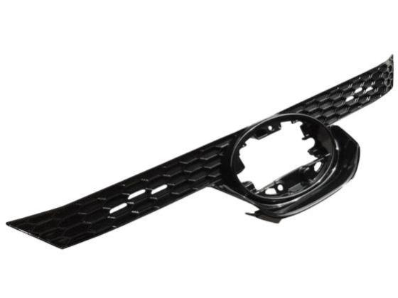 ცხაურა (აბლიცოვკა), ცხაურა