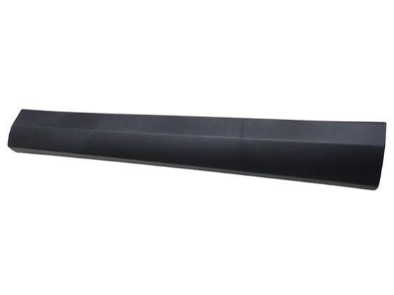 FR LH Door, Molding