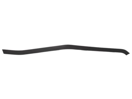 FR Bumper, Molding