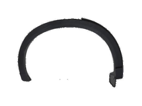 Fender Molding, RR RH