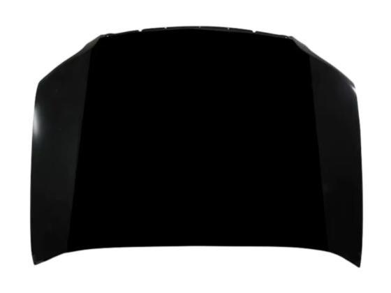 Hood, Bonnet, Hood