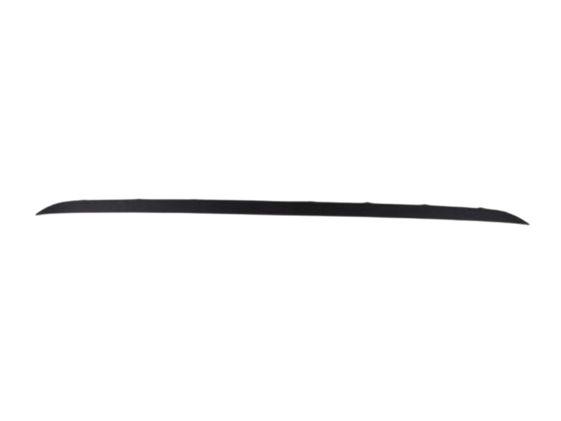 FR Bumper, Molding