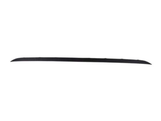FR Bumper, Molding