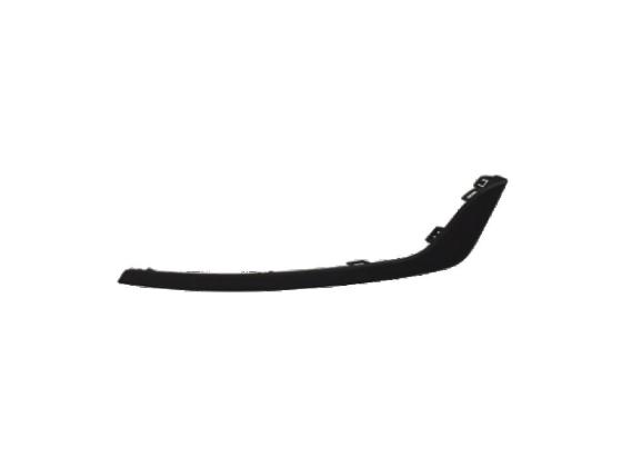 FR Bumper, Molding