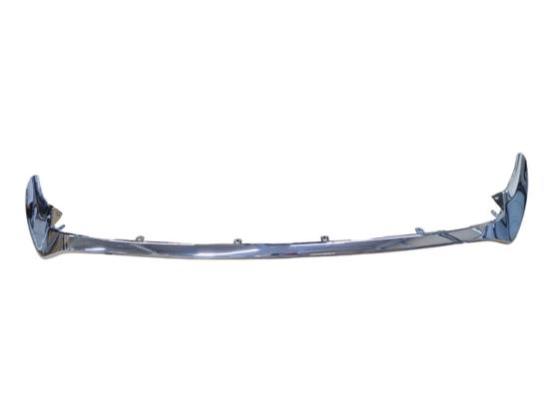 FR Bumper, Molding