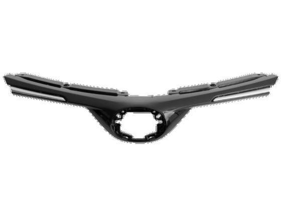 ცხაურა (აბლიცოვკა), ცხაურა