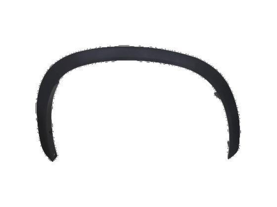 ფრთის მოლდინგი, წინა მარჯვენა