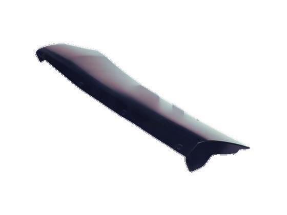 კარი უკანა მარჯვენა, მოლდინგი