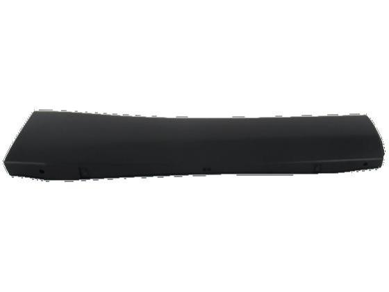 კარი უკანა მარჯვენა, მოლდინგი