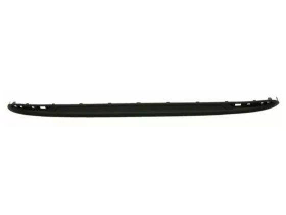RR Bumper, Molding